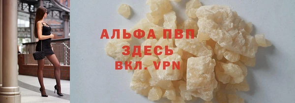 спайс Дмитриев