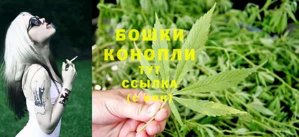 спайс Дмитриев